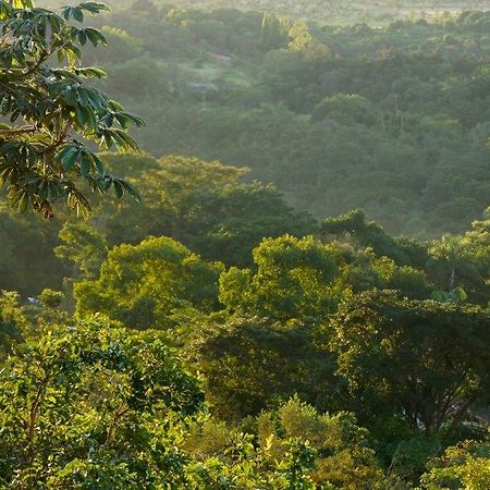 Cerrado Lodge Brasília Eksteriør billede