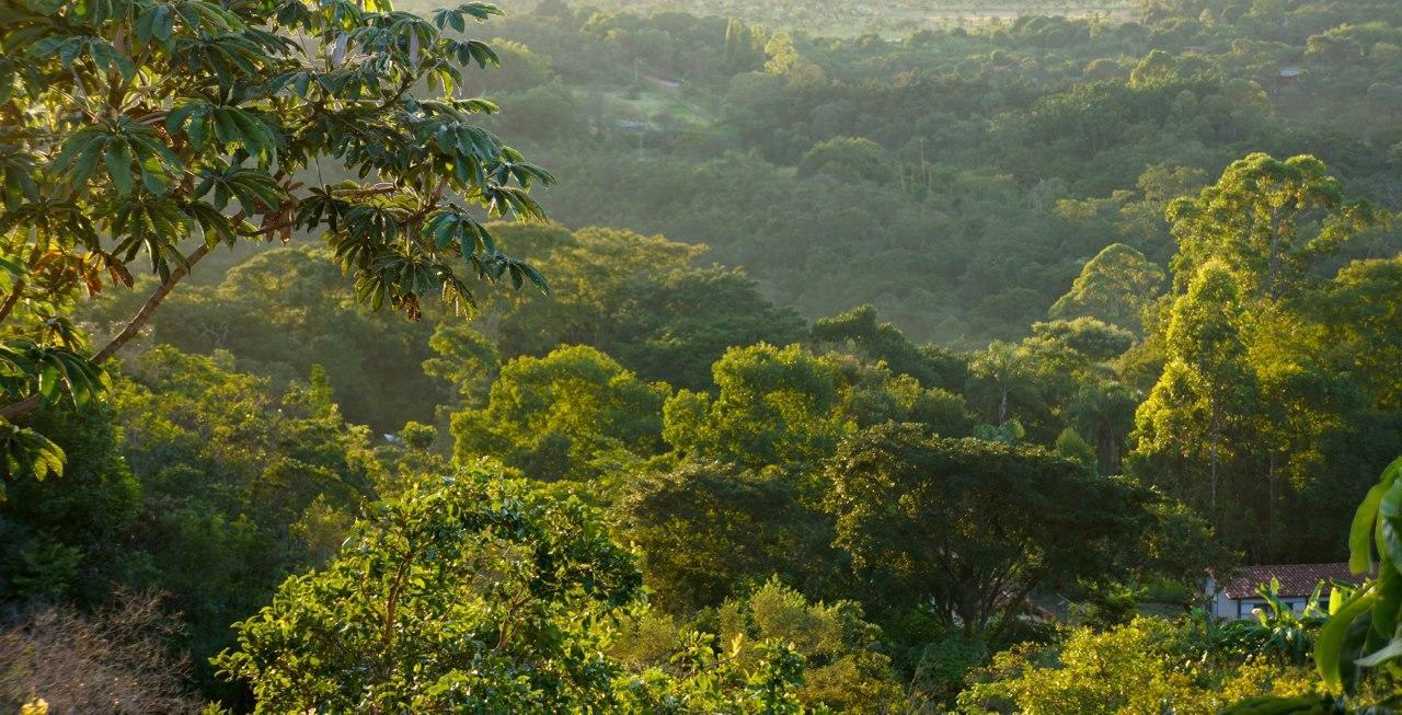 Cerrado Lodge Brasília Eksteriør billede